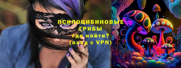 Альфа ПВП Алзамай